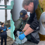 Dengue: focos do mosquito da dengue encontrados no cemitério municipal