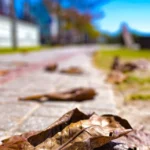Última semana do outono será de temperaturas amenas em Canoinhas e região