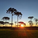 Canoinhas amanhece com -1 grau nesta terça; veja quais foram as cidades mais geladas da região