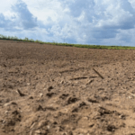 Programa da Prefeitura de Canoinhas auxilia agricultores no diagnóstico do solo