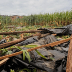 Canoinhas terá auxílio financeiro para agricultores atingidos por eventos climáticos extremos