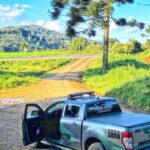 Polícia Ambiental alerta sobre período de proibição da coleta e venda de pinhão