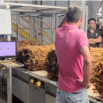 Prefeitura de Canoinhas cobra critérios mais justos na classificação do tabaco