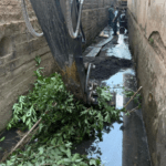 Governo de Canoinhas investe em limpeza na macrodrenagem do Arroio Monjolo e recuperação da Rua Almeida Cardoso