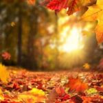 Defesa Civil alerta para temporais severos e queda brusca de temperatura nesta semana