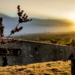 Massa de ar frio avança por Santa Catarina e derruba novamente a temperatura