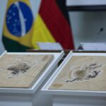Brasil quer recuperar dinossauros e patrimônios que estão em 14 países
