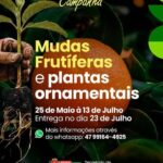 Três Barras abre campanha para aquisição de mudas frutíferas e ornamentais